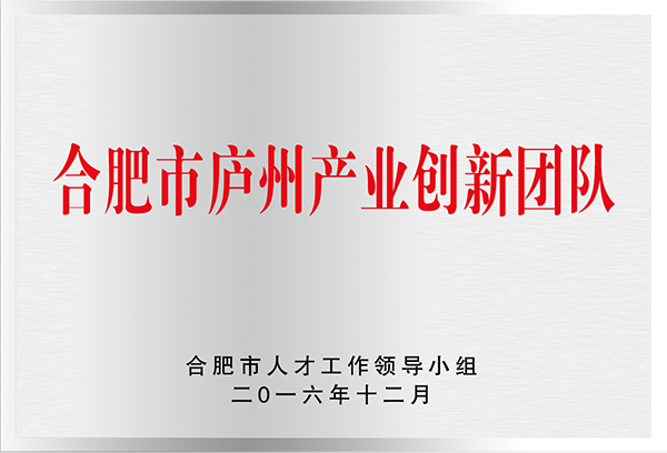 合肥市廬州產業(yè)創(chuàng)新團隊