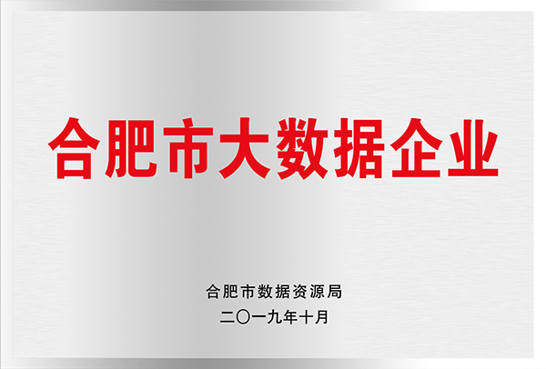 合肥市大數據企業(yè)